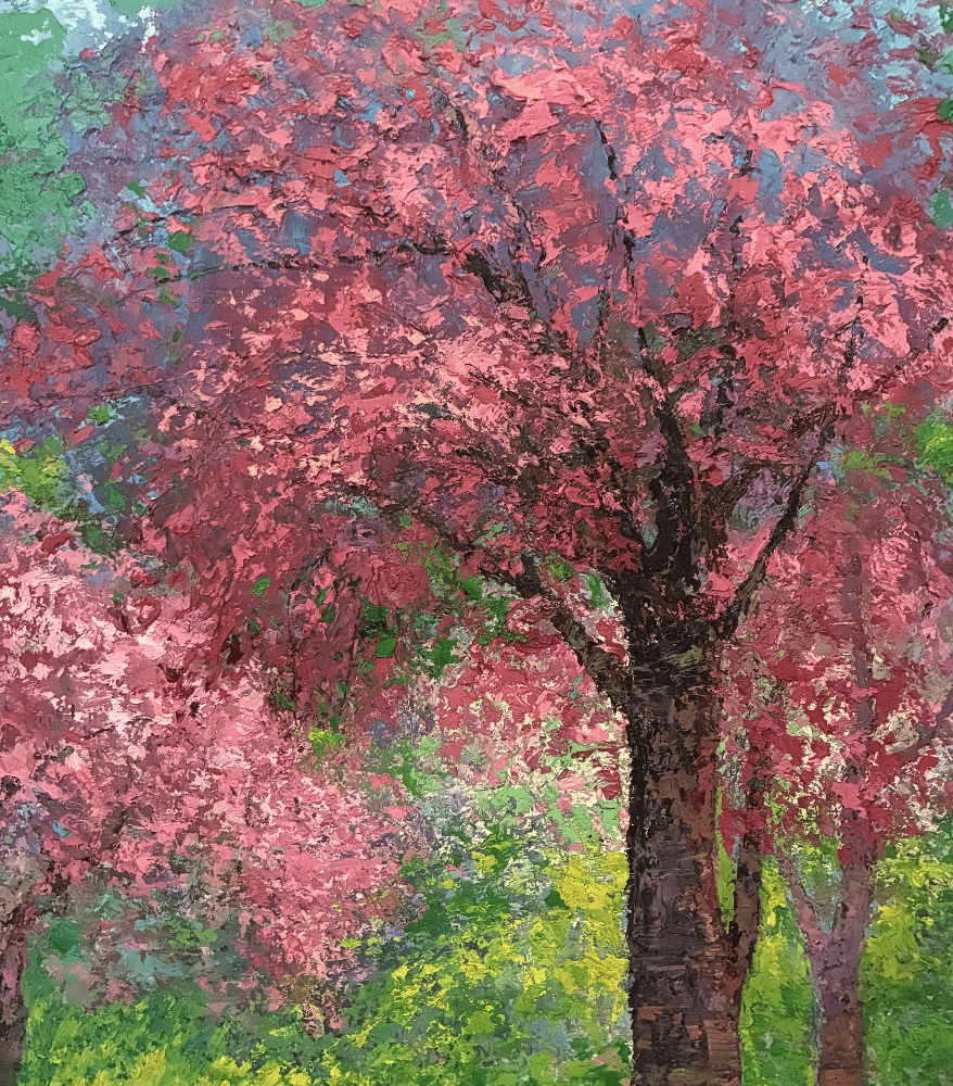 恣意的春天 （櫻花）<br> Unrestrained Spring (Cherry Blossoms)